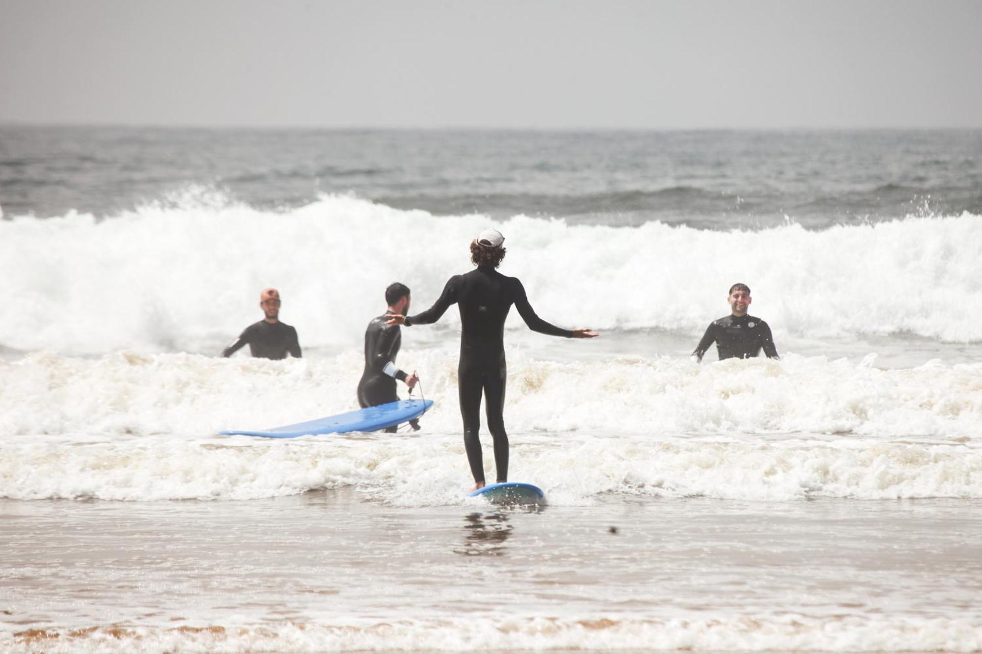 Surf Territory Shared Dorm Hostel *